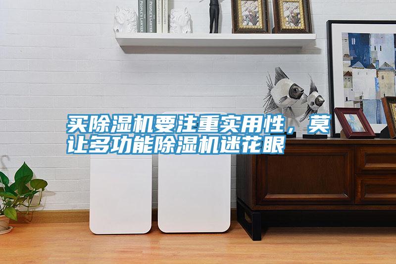 買除濕機要注重實用性，莫讓多功能除濕機迷花眼