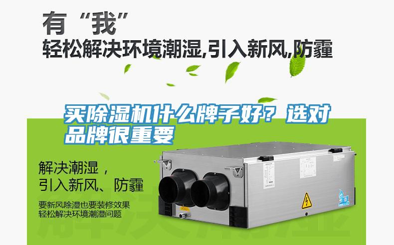 買除濕機(jī)什么牌子好？選對(duì)品牌很重要