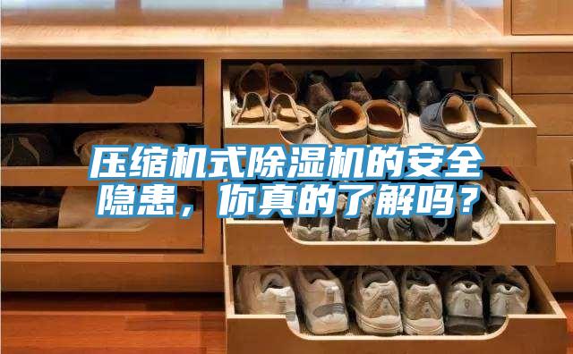 壓縮機(jī)式除濕機(jī)的安全隱患，你真的了解嗎？