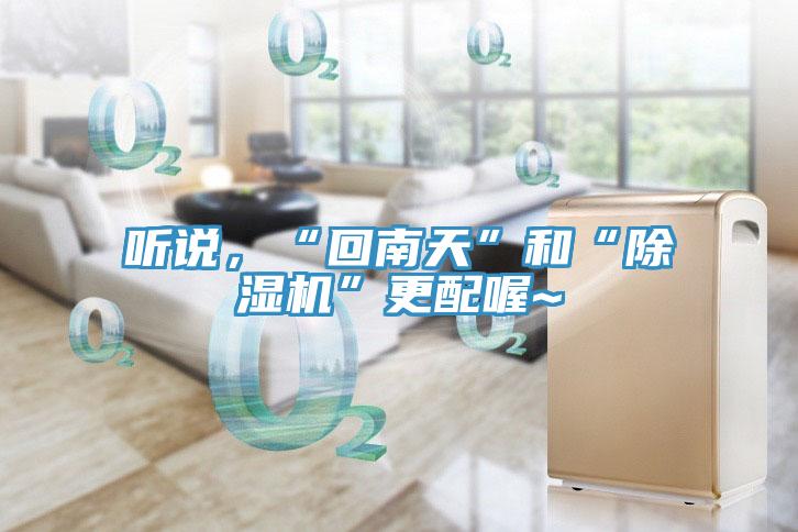 聽(tīng)說(shuō)，“回南天”和“除濕機(jī)”更配喔~