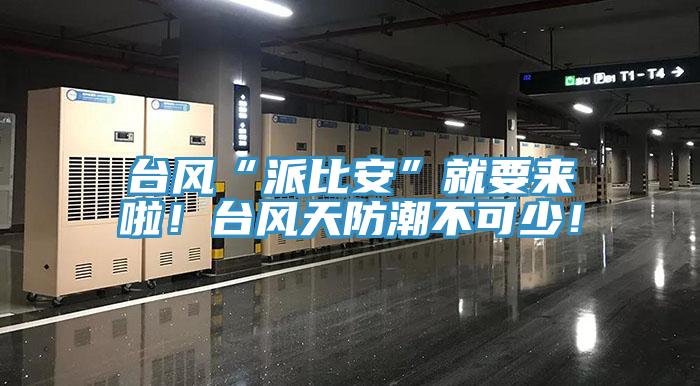 臺風(fēng)“派比安”就要來啦！臺風(fēng)天防潮不可少！