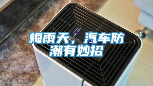 梅雨天，汽車防潮有妙招