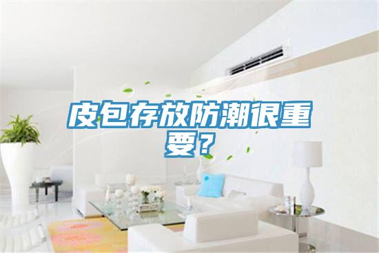 皮包存放防潮很重要？