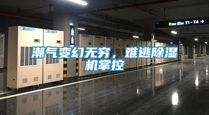 潮氣變幻無窮，難逃除濕機掌控