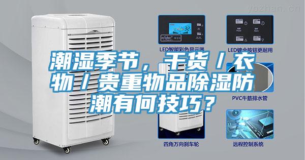 潮濕季節(jié)，干貨／衣物／貴重物品除濕防潮有何技巧？
