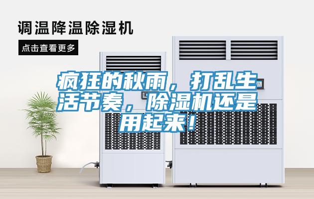 瘋狂的秋雨，打亂生活節(jié)奏，除濕機(jī)還是用起來！