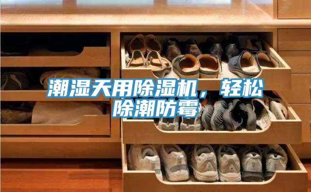 潮濕天用除濕機(jī)，輕松除潮防霉