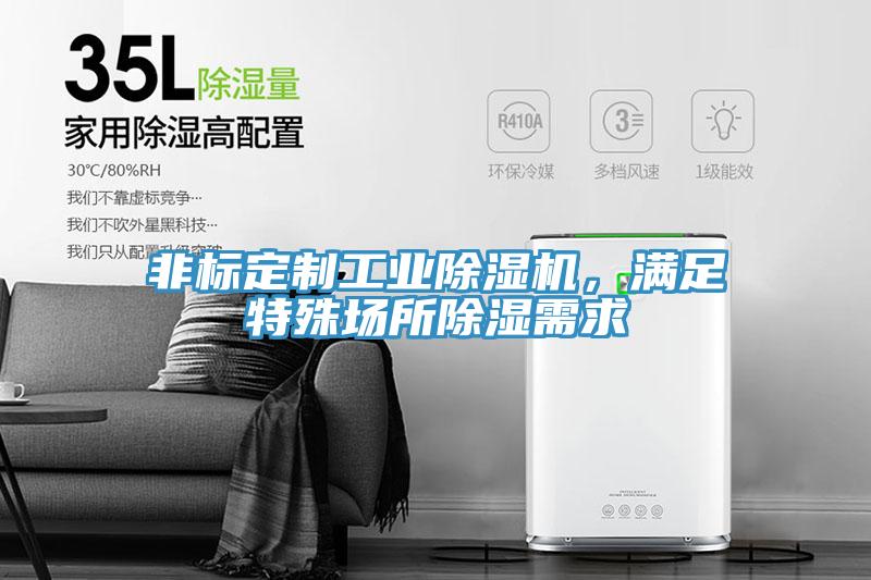 非標(biāo)定制工業(yè)除濕機(jī)，滿足特殊場所除濕需求