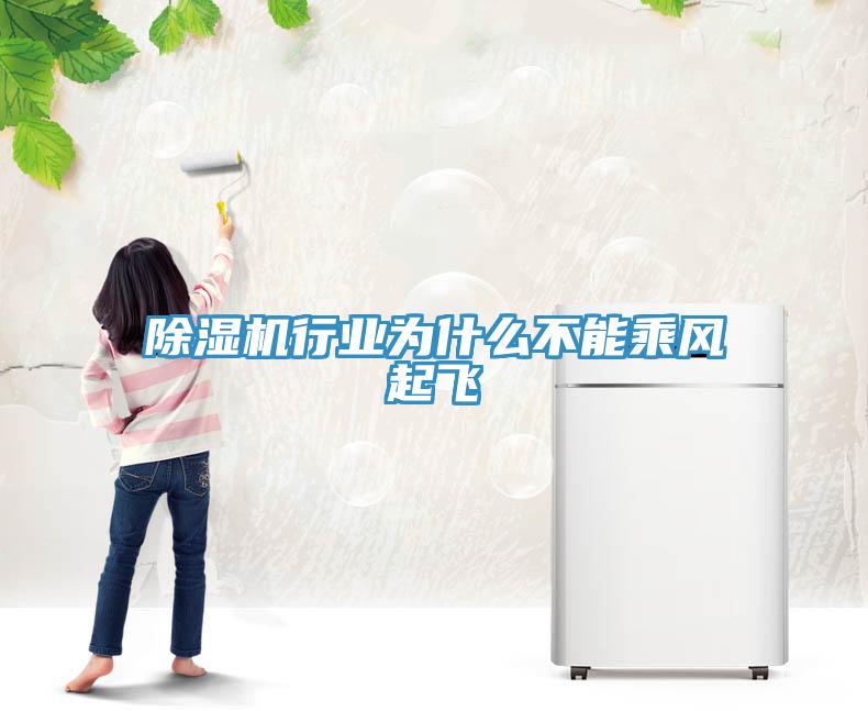 除濕機(jī)行業(yè)為什么不能乘風(fēng)起飛