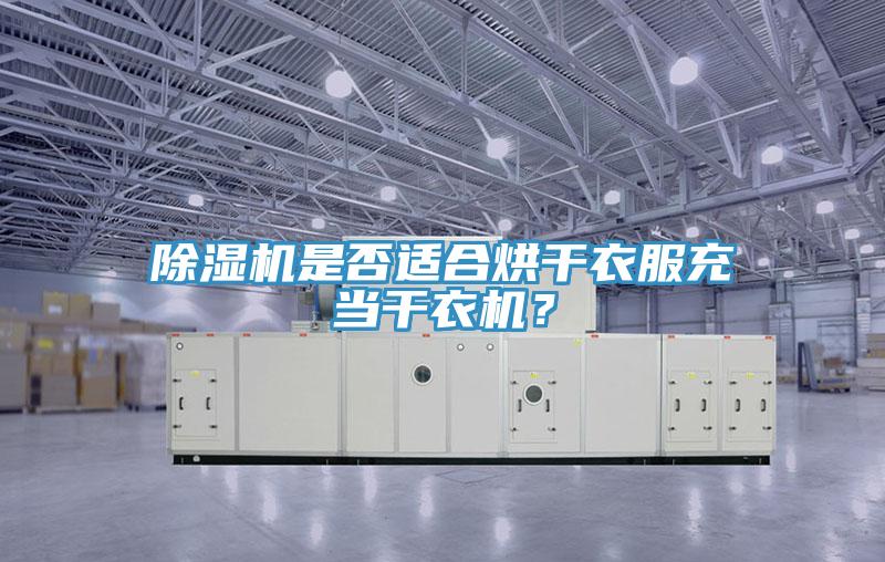 除濕機(jī)是否適合烘干衣服充當(dāng)干衣機(jī)？