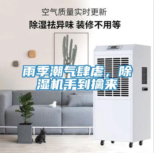 雨季潮氣肆虐，除濕機(jī)手到擒來