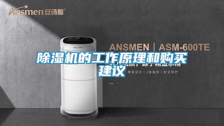除濕機(jī)的工作原理和購(gòu)買建議