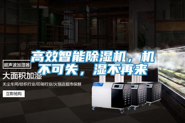 高效智能除濕機(jī)，機(jī)不可失，濕不再來(lái)