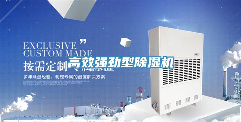 高效強(qiáng)勁型除濕機(jī)