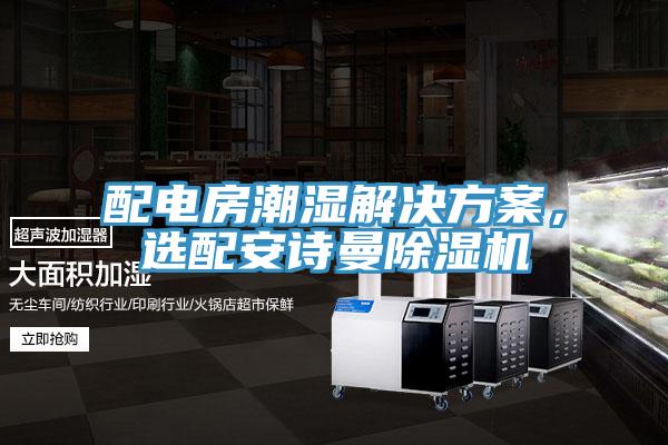 配電房潮濕解決方案，選配安詩(shī)曼除濕機(jī)