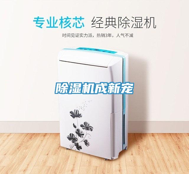 除濕機(jī)成新寵