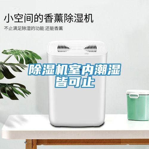 除濕機(jī)室內(nèi)潮濕皆可止