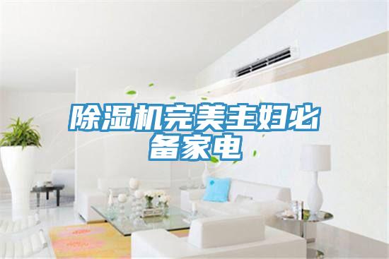 除濕機(jī)完美主婦必備家電