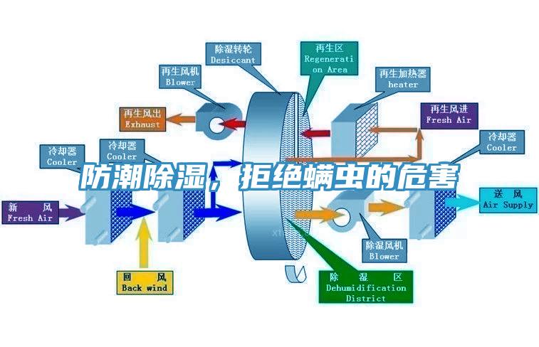 防潮除濕，拒絕螨蟲的危害