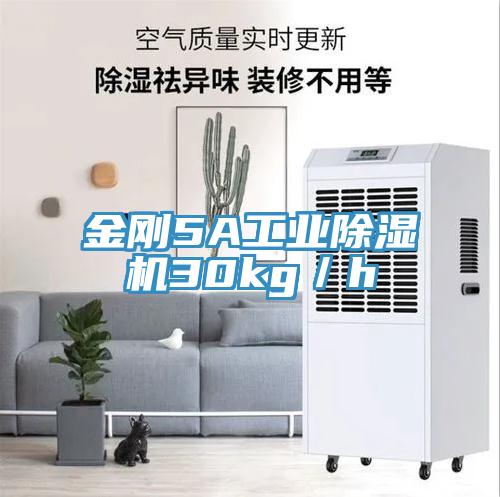 金剛5A工業(yè)除濕機30kg／h