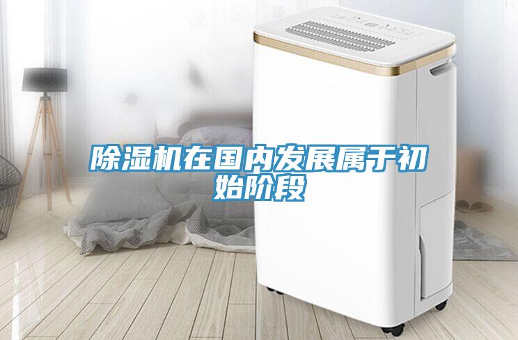 除濕機(jī)在國內(nèi)發(fā)展屬于初始階段