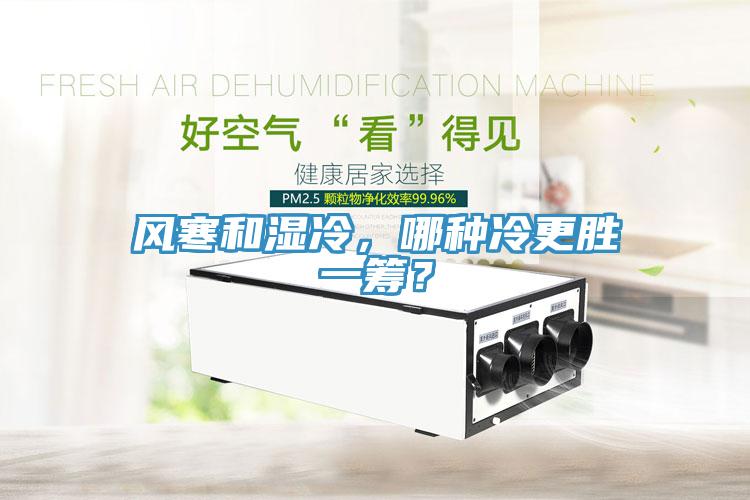 風(fēng)寒和濕冷，哪種冷更勝一籌？