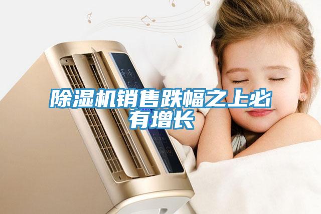 除濕機(jī)銷(xiāo)售跌幅之上必有增長(zhǎng)