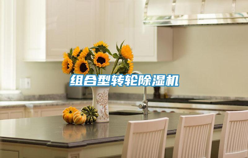 組合型轉(zhuǎn)輪除濕機(jī)