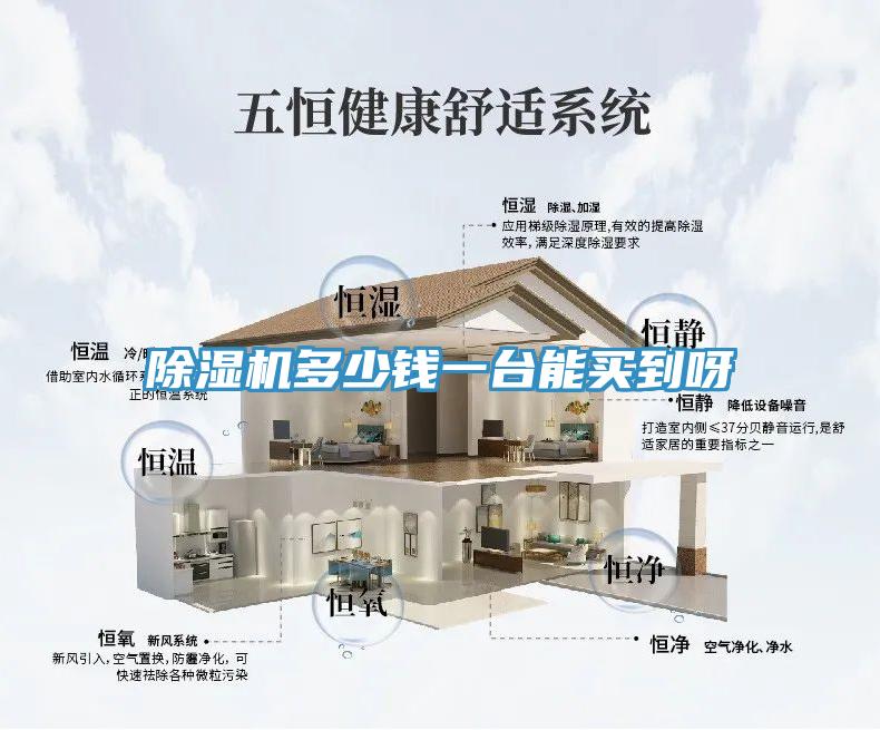 除濕機(jī)多少錢一臺(tái)能買到呀