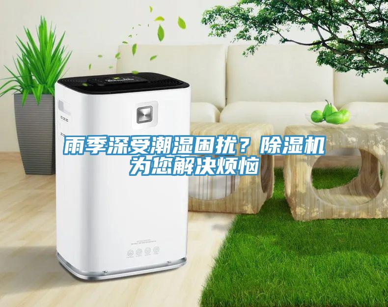 雨季深受潮濕困擾？除濕機(jī)為您解決煩惱
