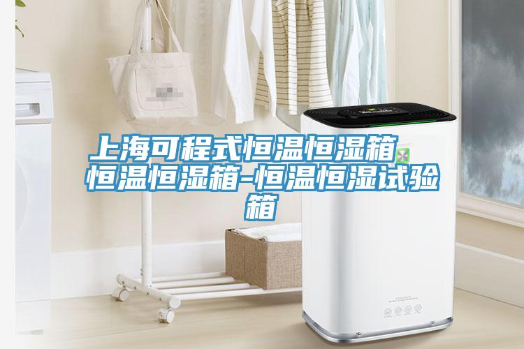 上?？沙淌胶銣睾銤裣? 恒溫恒濕箱-恒溫恒濕試驗(yàn)箱