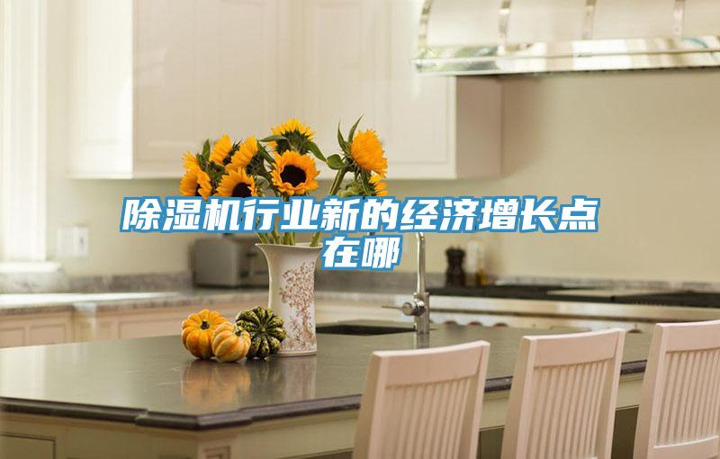 除濕機(jī)行業(yè)新的經(jīng)濟(jì)增長點(diǎn)在哪