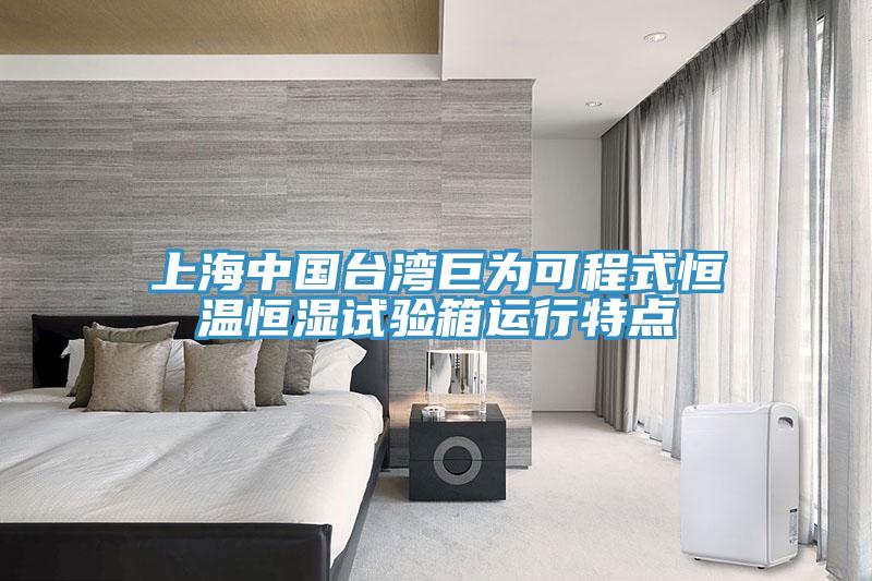 上海中國臺(tái)灣巨為可程式恒溫恒濕試驗(yàn)箱運(yùn)行特點(diǎn)