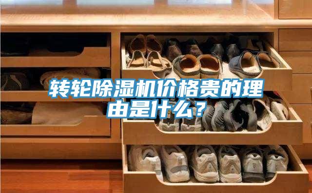 轉(zhuǎn)輪除濕機價格貴的理由是什么？