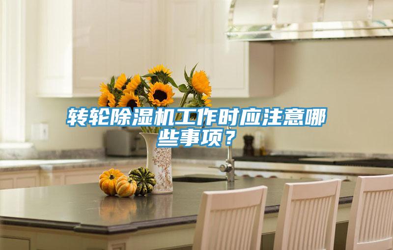 轉(zhuǎn)輪除濕機工作時應注意哪些事項？
