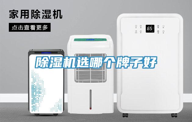 除濕機(jī)選哪個牌子好