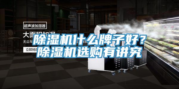 除濕機(jī)什么牌子好？除濕機(jī)選購(gòu)有講究