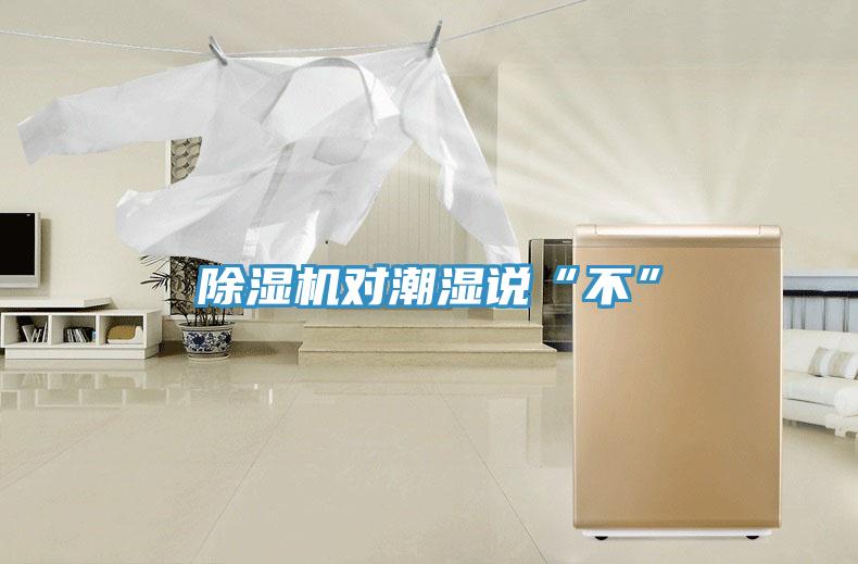 除濕機(jī)對(duì)潮濕說(shuō)“不”