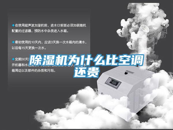 除濕機為什么比空調(diào)還貴