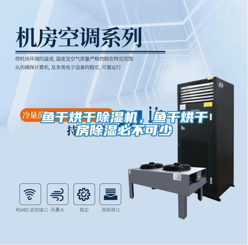魚干烘干除濕機，魚干烘干房除濕必不可少