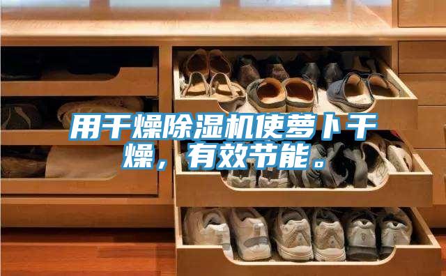 用干燥除濕機使蘿卜干燥，有效節(jié)能。