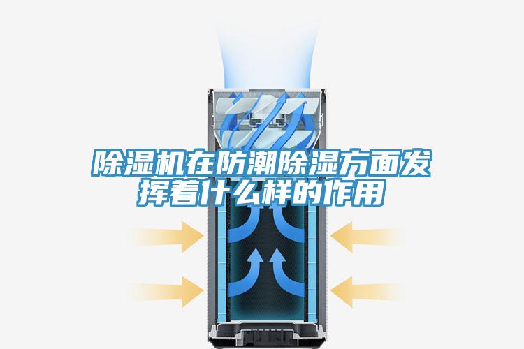 除濕機在防潮除濕方面發(fā)揮著什么樣的作用