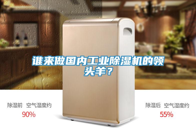 誰來做國內(nèi)工業(yè)除濕機的領(lǐng)頭羊？