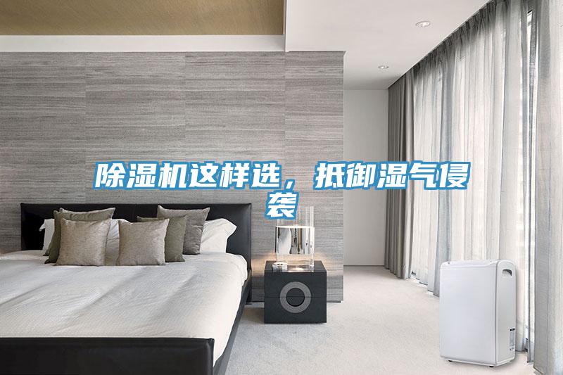 除濕機這樣選，抵御濕氣侵襲