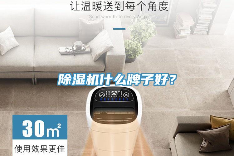 除濕機(jī)什么牌子好？