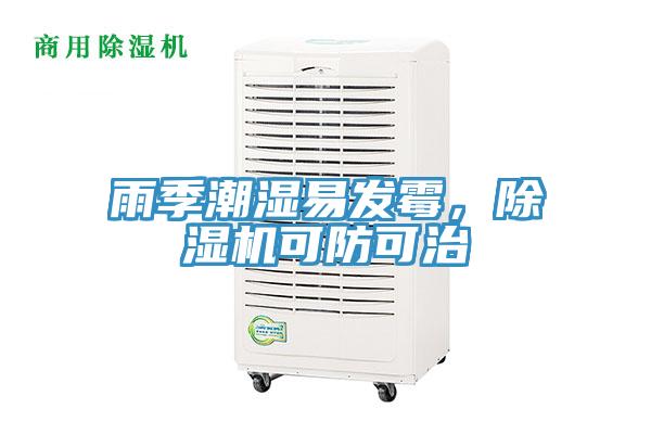 雨季潮濕易發(fā)霉，除濕機(jī)可防可治
