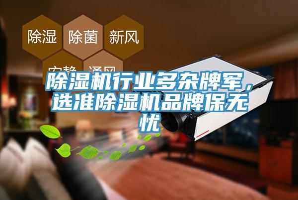 除濕機(jī)行業(yè)多雜牌軍，選準(zhǔn)除濕機(jī)品牌保無憂
