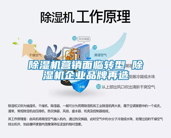 除濕機(jī)營(yíng)銷(xiāo)面臨轉(zhuǎn)型 除濕機(jī)企業(yè)品牌再造