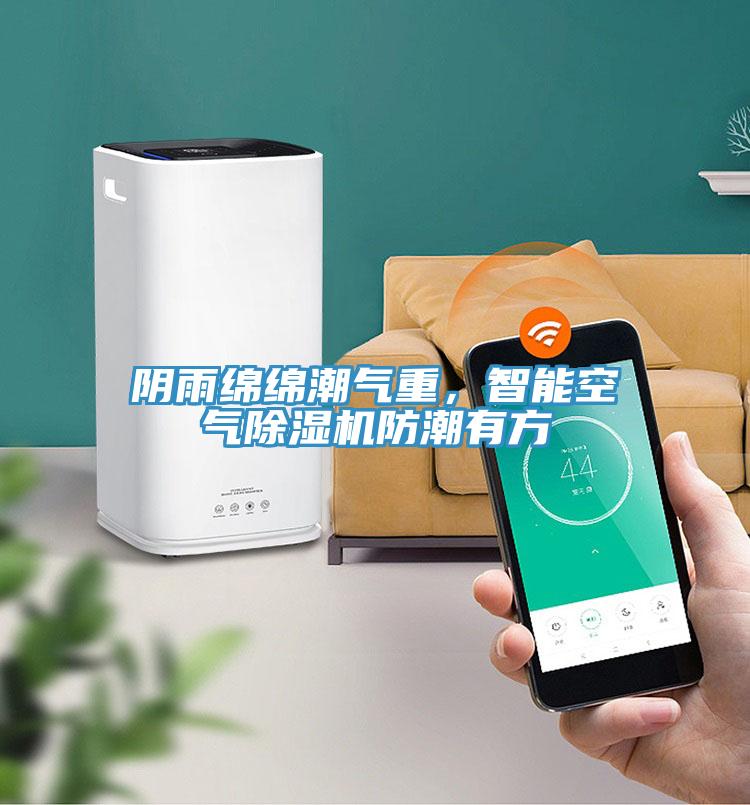 陰雨綿綿潮氣重，智能空氣除濕機(jī)防潮有方