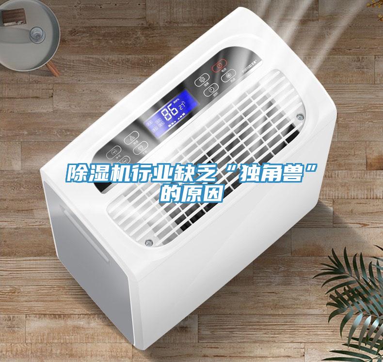 除濕機(jī)行業(yè)缺乏“獨(dú)角獸”的原因